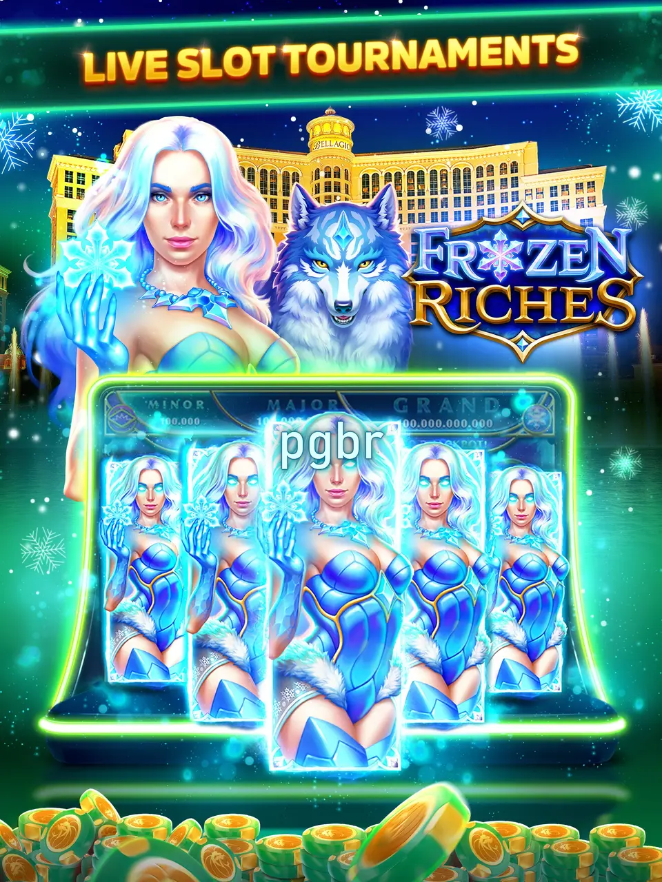 pgbr Login