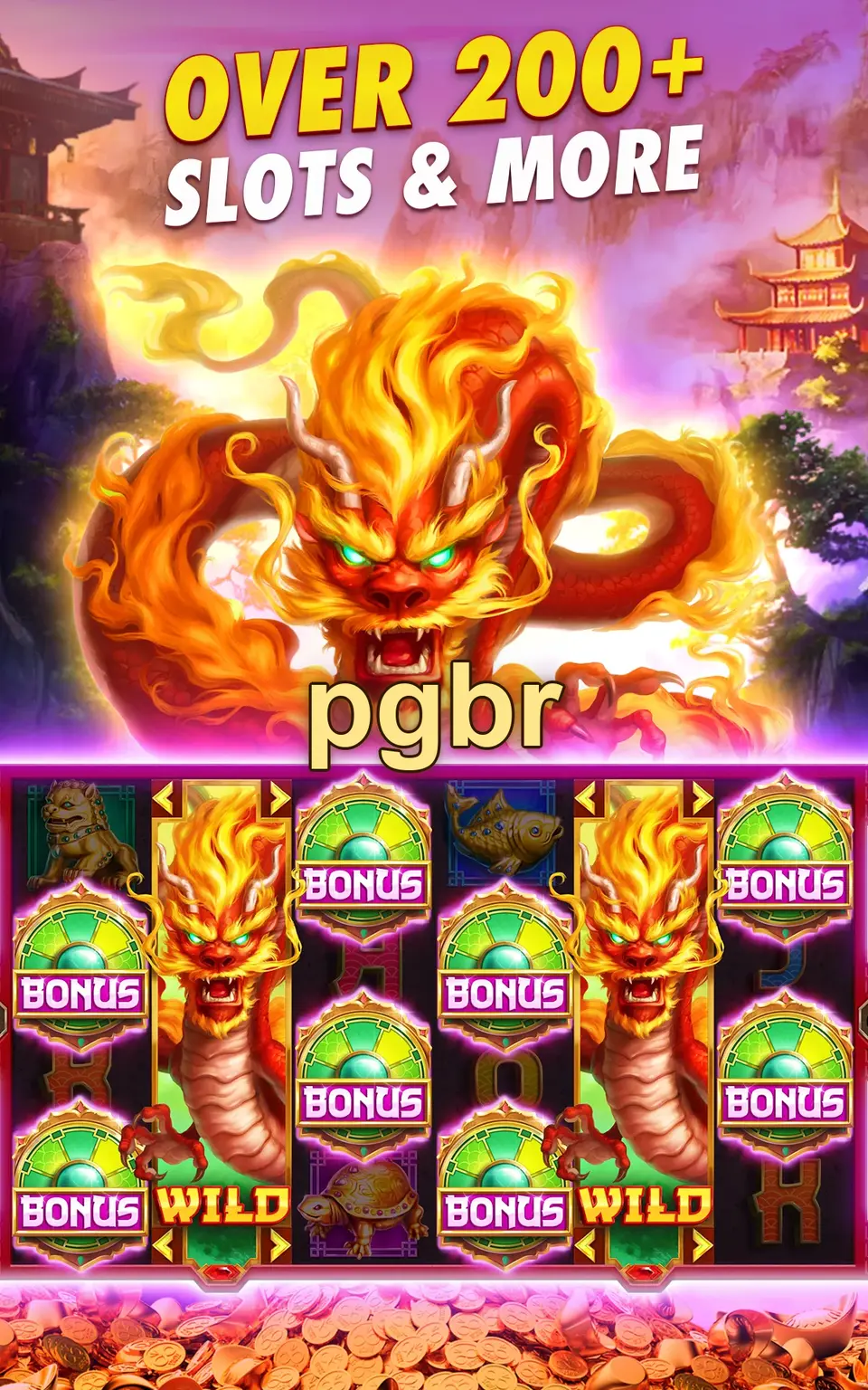 pgbr Login