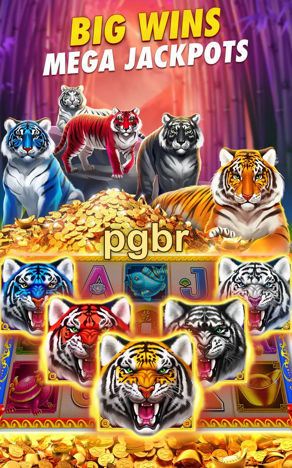 pgbr Preview - Oficial Baixar