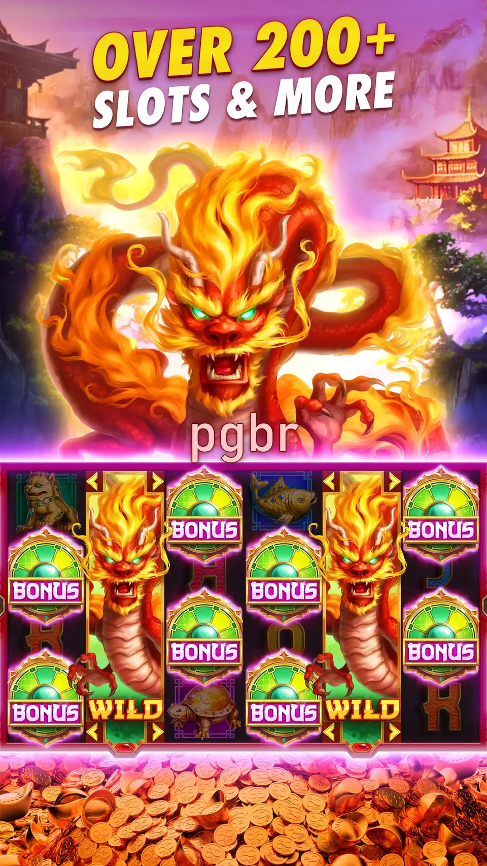 pgbr Capturas de tela Oficial APK